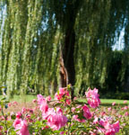 1/500 Sek. bei f / 3,2