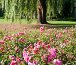 1/500 Sek. bei f / 3,2